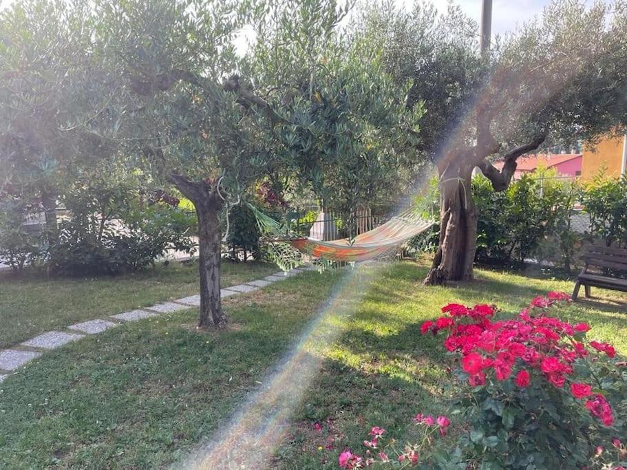 La Dimora Delle Rose Leilighet Passignano sul Trasimeno Eksteriør bilde