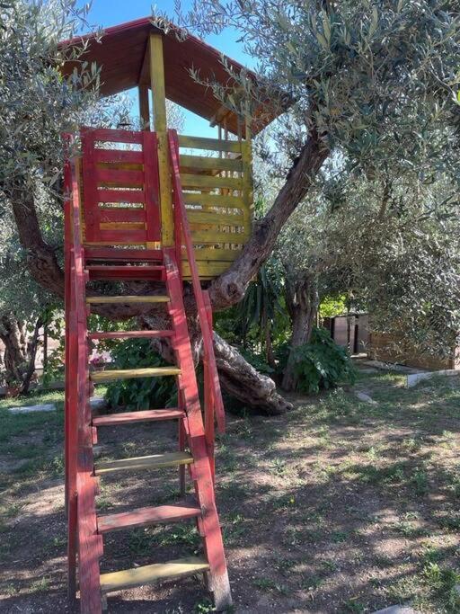 La Dimora Delle Rose Leilighet Passignano sul Trasimeno Eksteriør bilde