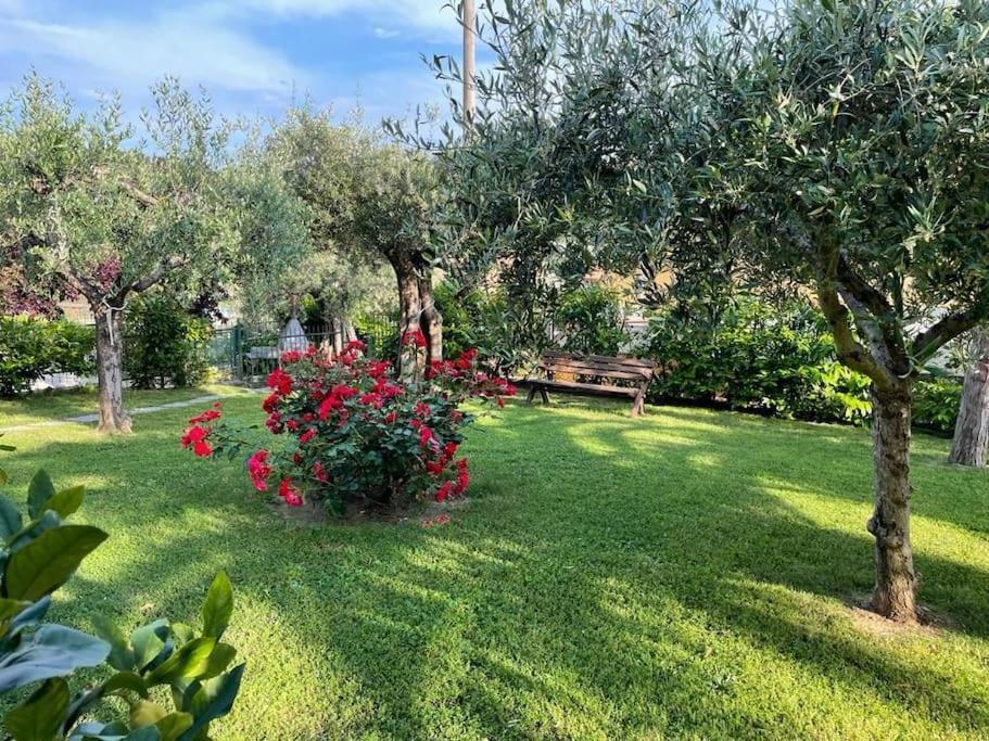 La Dimora Delle Rose Leilighet Passignano sul Trasimeno Eksteriør bilde
